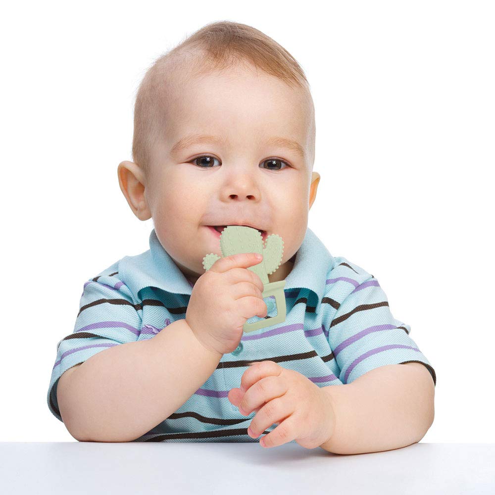 Baby Silicone Teether,Sensory Chew Toys,BPA Free Soft and Effective Infant Teething Pain Relief Toys,Freezer Safe,Food Grade Silicone,Best Shower Gift for Boys and Girls (Cactus)