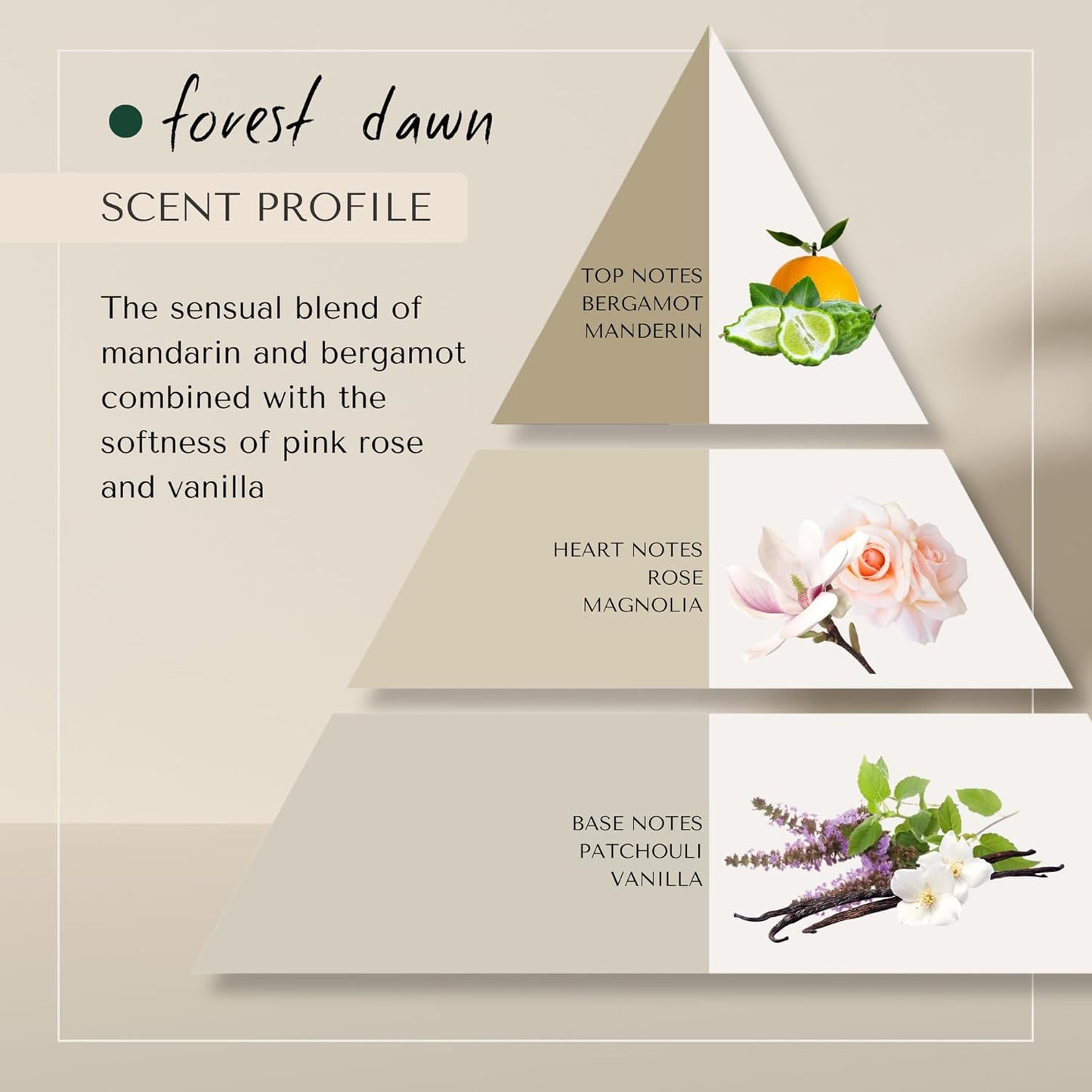 Forest Dawn Toning Blue Pigment Shampoo | Dutch Made No-Orange Neutralizer for Undesirable Orange and Copper Tones | Sweet, fruity scent of Mandarin, Bergamot, Pink Rose & Vanilla 750 ML
