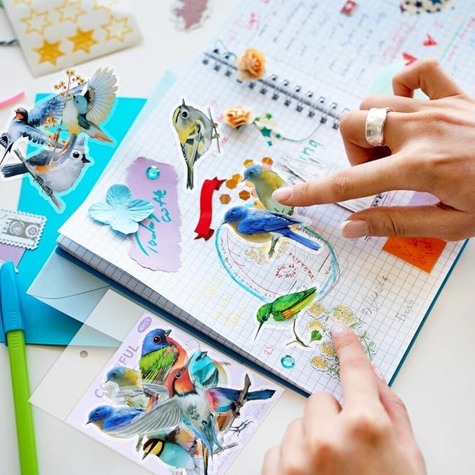 Imeepa 40Pcs Bird Stickers Transparent Scrapbooking Stickers | PET Vintage Bird