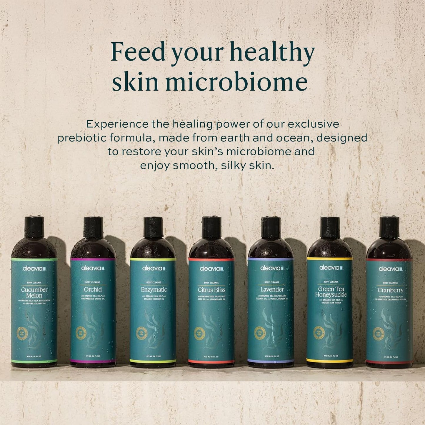 Aleavia Lavender Body Cleanse – Organic & All-Natural Prebiotic Body Wash, Scented with Pure Essential Oils – Nourish Your Skin Microbiome – 16 Oz.
