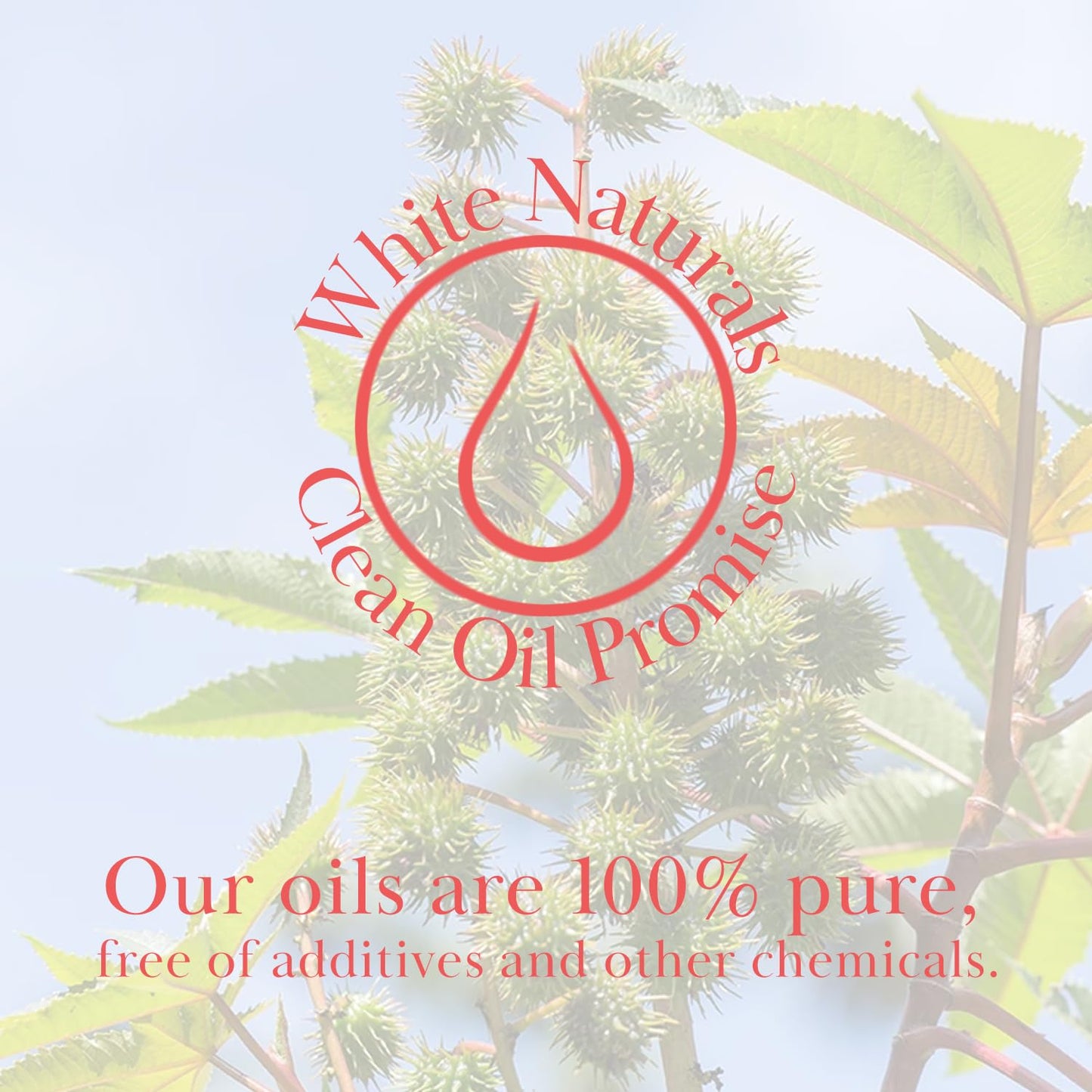 Organic Castor Oil, 100% Pure Natural, Cold Pressed for Essential Oils Mixing Natural Dry Skin Moisturizer Body & Face Care, Eyelash Caster Oil, Eyelashes Eyebrows Lash & Hair Growth Serum 4oz