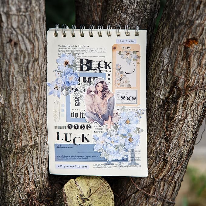 JOYCHOIC Scrapbook Stickers Set, Junk Journal Supplies, Bullet Journals
