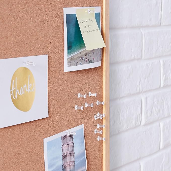 Amazon Basics Push Pins Tacks, Steel Point,