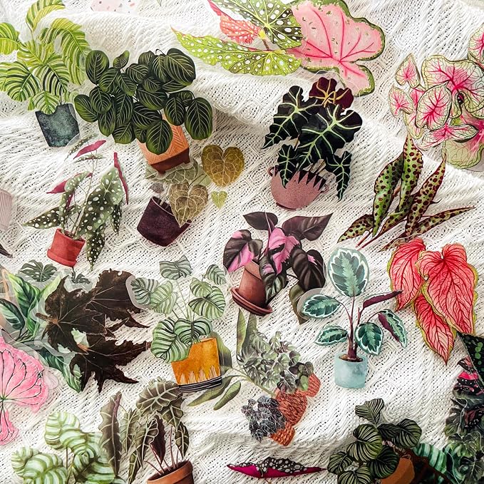 Yoksas Nature Alocasia Green Plants Stickers