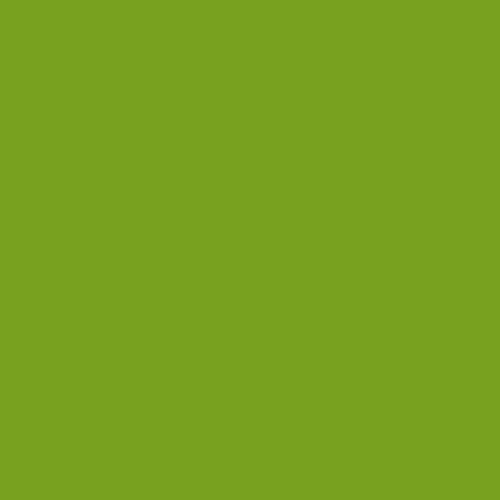 Cricut Removable Vinyl, Bright Green