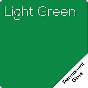 12.125" x 10ft Roll of Oracal 651 Light Green Craft Vinyl