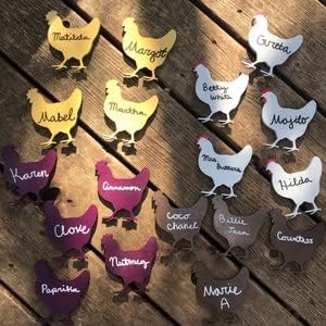 Unfinished Wood Hen Chicken Shape Farm Animal Craft up to 46" DIY 14" / 1/2"