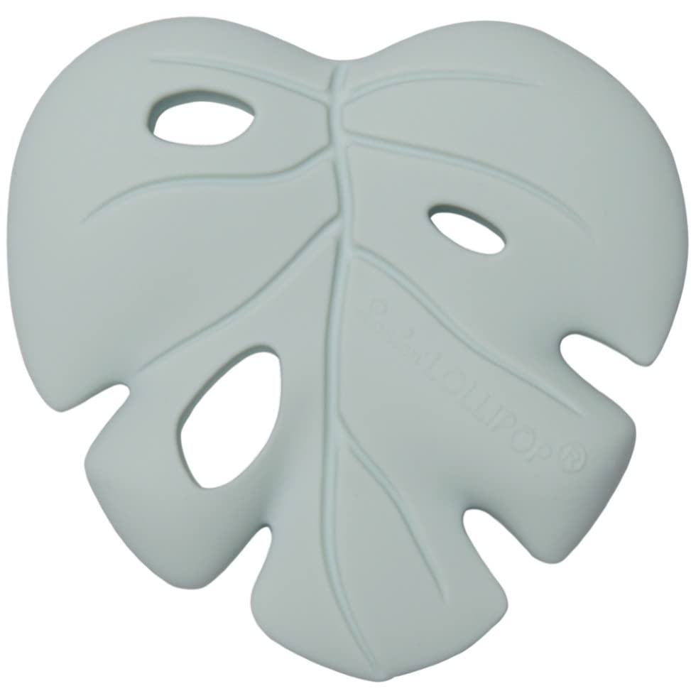 Silicone Teether – Food-Grade, BPA-Free Teething Relief Toy for Babies – Safe, Durable & Easy-to-Hold Infant Teether – Textured Sensory Toy for Soothing Sore Gums - Monstera Mint
