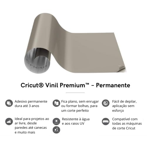 Cricut Premium Permanent Vinyl Roll 2-Pack Silver & Gold