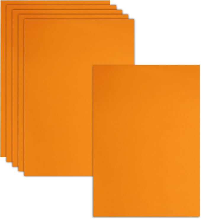 Biaungdo 6 Pcs 8 x 12 Inch Felt Fabric Sheets,