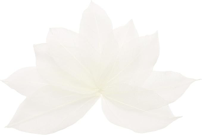 uxcell 100 Pcs White Skeleton Leaves