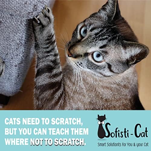 Sofisti-Cat Training Tape, Cat Tape