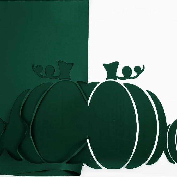 FUNKAKA Dark Green HTV Heat Transfer Vinyl Rolls, Adhesive HTV Vinyl
