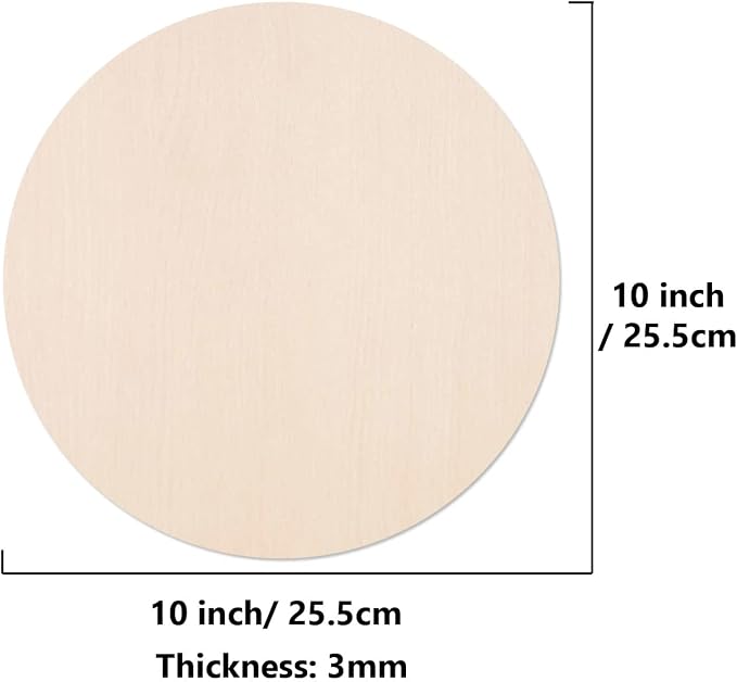 10Pcs 10Inch Cutouts Blank Round Wood Slice Wood Circles