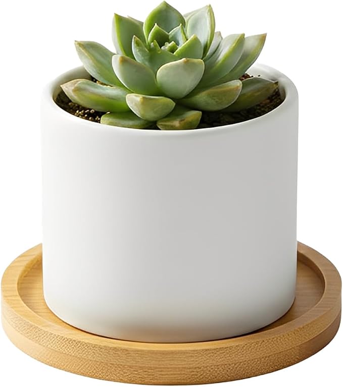 Bamboo Coasters for Crafts, DIY resin projects, classroom crafts, group