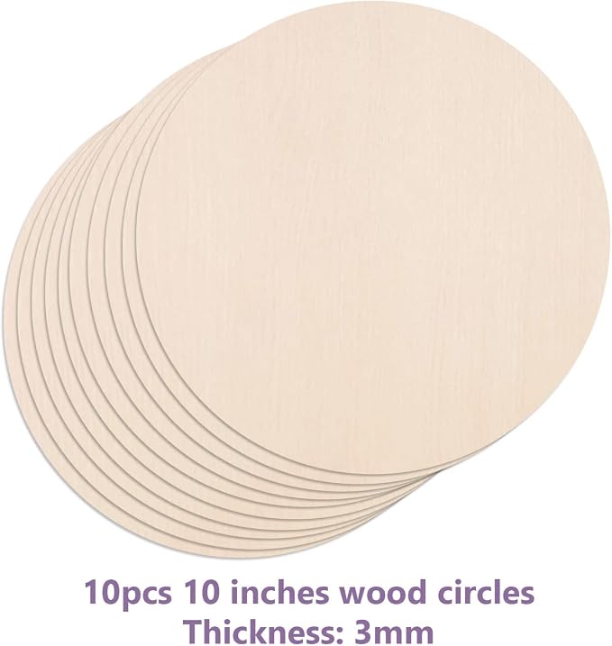 10Pcs 10Inch Cutouts Blank Round Wood Slice Wood Circles
