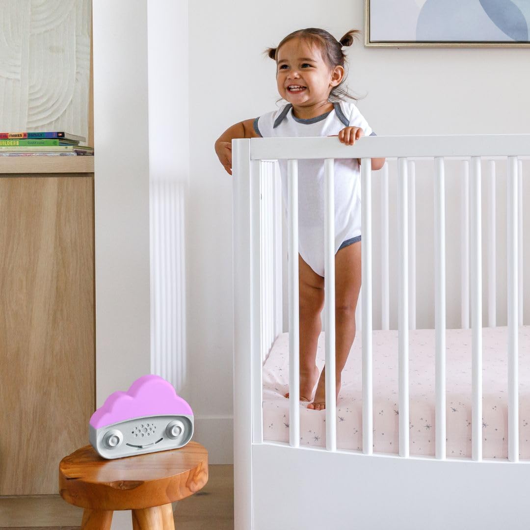 Happiest Baby SNOObie Smart White Noise Machine - Portable Baby Sound Machine with Night Light - 12 Soothing Sounds for Sleep Training, Grey