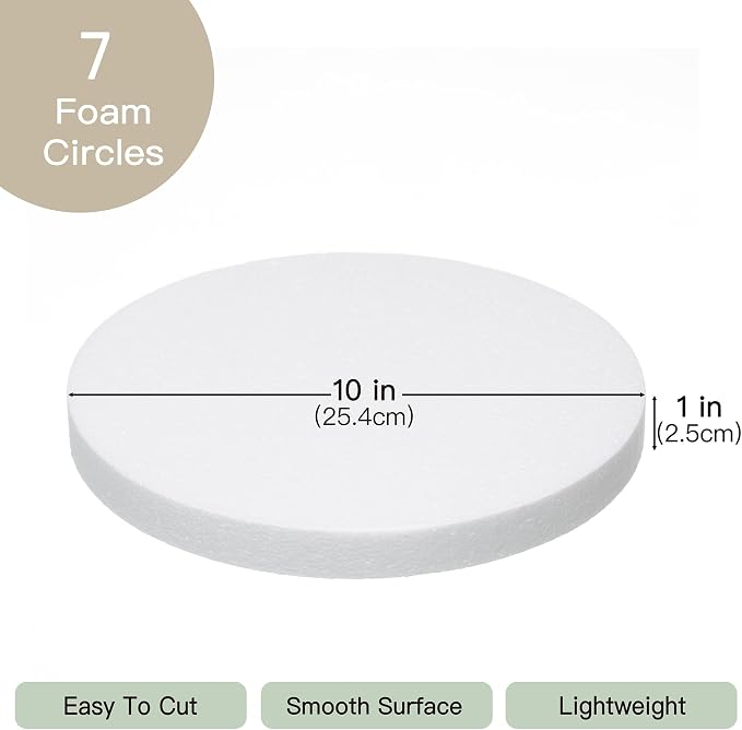 Crafare 10x1in Round Foam Circles