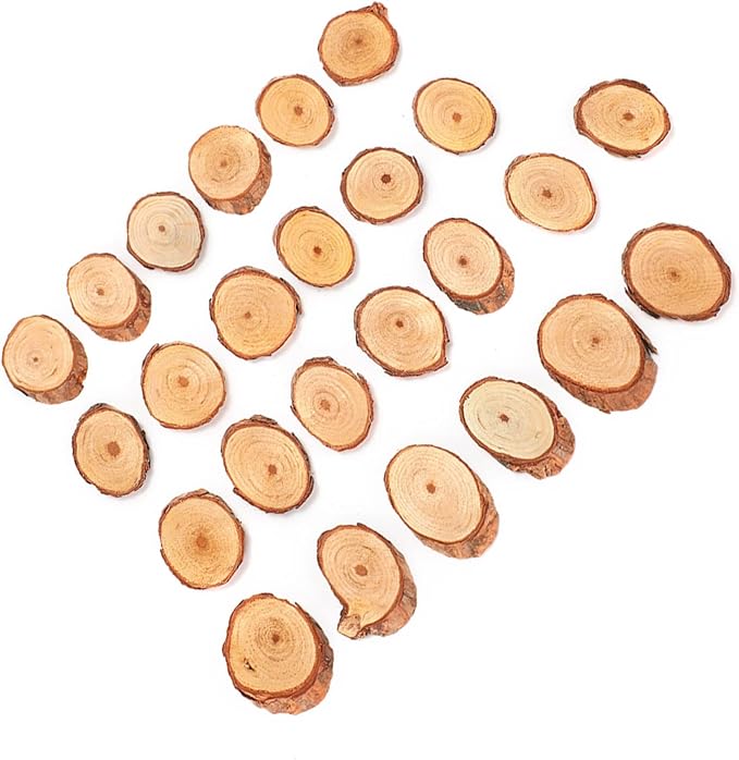 Rustic Unfinished Wooden Ornament Craft Kit 25 Piece DIY Blank Set