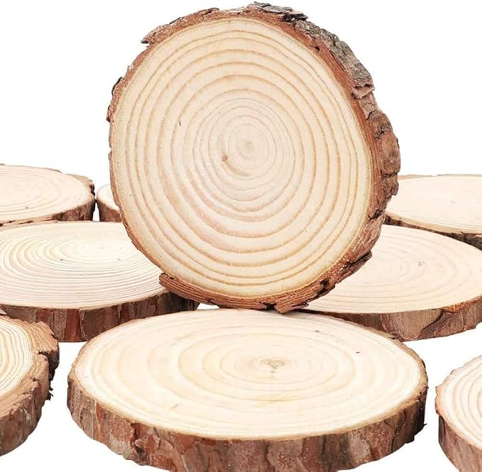 Unfinished Natural Wood Slices