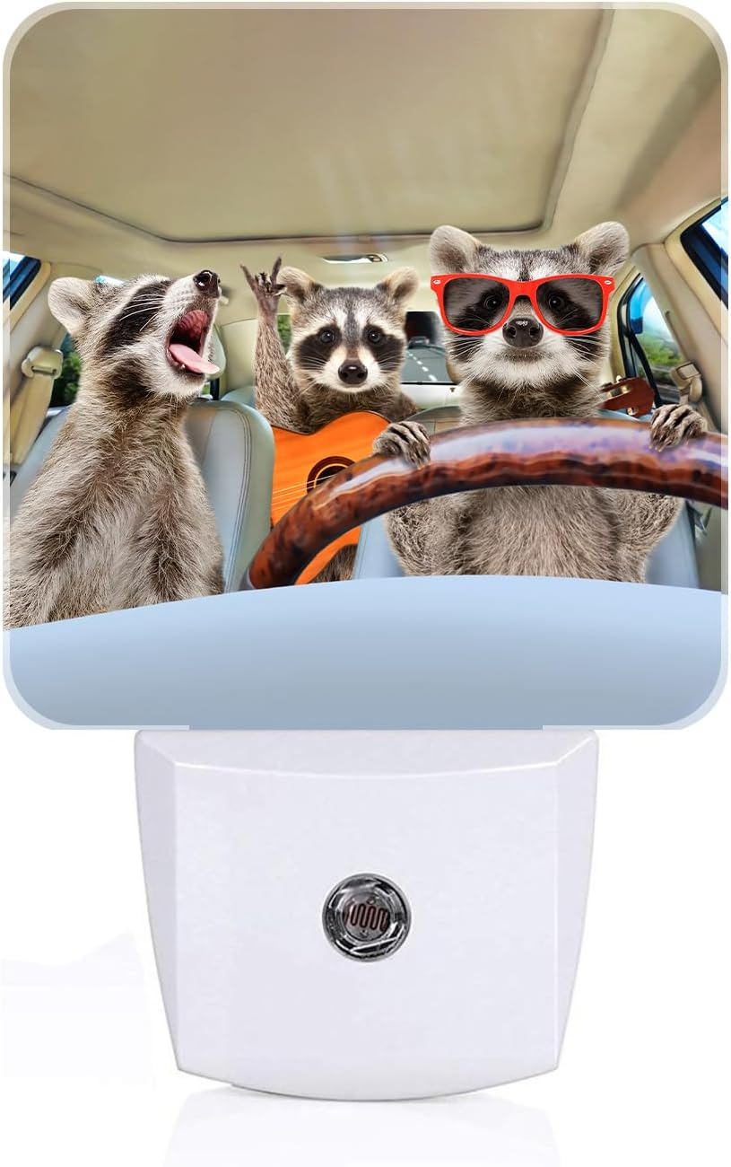Three Cute Raccoons Night Light,Plug-in Nightlights Auto Sensor Night Lamp Dusk-to-Dawn Lamp Home Decor for Nursery Children Girls Boys