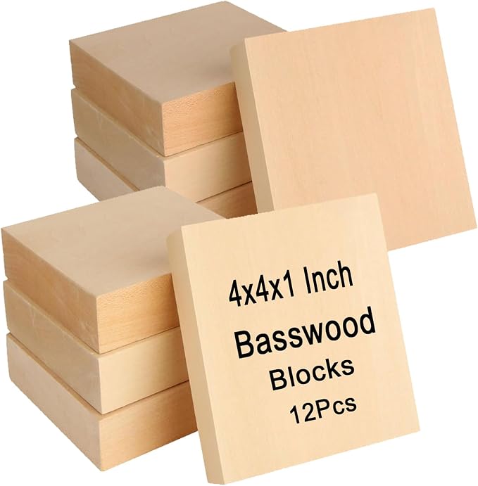 QTLCOHD 12Pcs Unfinished Wood Blocks