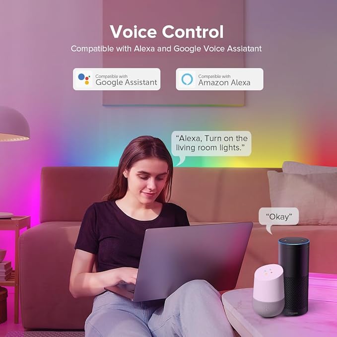 BTF-LIGHTING 2.4G WiFi DR03W RGB SPI Controller Tuya APP/Smart Life/Google Home/Alexa Control Support WS2812B WS2811 WS2815 etc Addressable LED Strip Work with WR01RF RC03RFB RF Remote