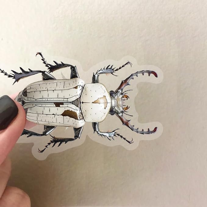 50 PCS Realistic Beetle Stickers