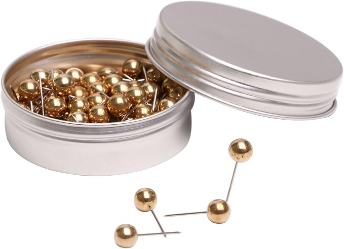 Tupalizy 100PCS 1/4 Inch Small Round Head Map Tacks Pins