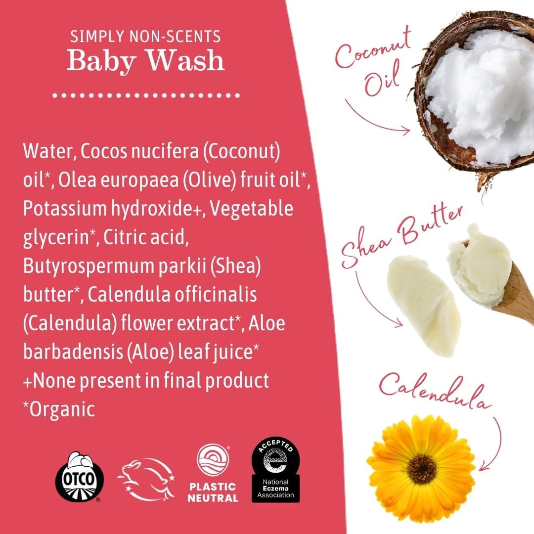 Earth Mama Simply Non-Scents Baby Wash Foaming Hand Soap, Organic Fragrance Free, Unscented Body Wash, Castile Soap with Coconut Oil, Shea Butter, Calendula, & Aloe, 6.27 fl oz (2-PK)