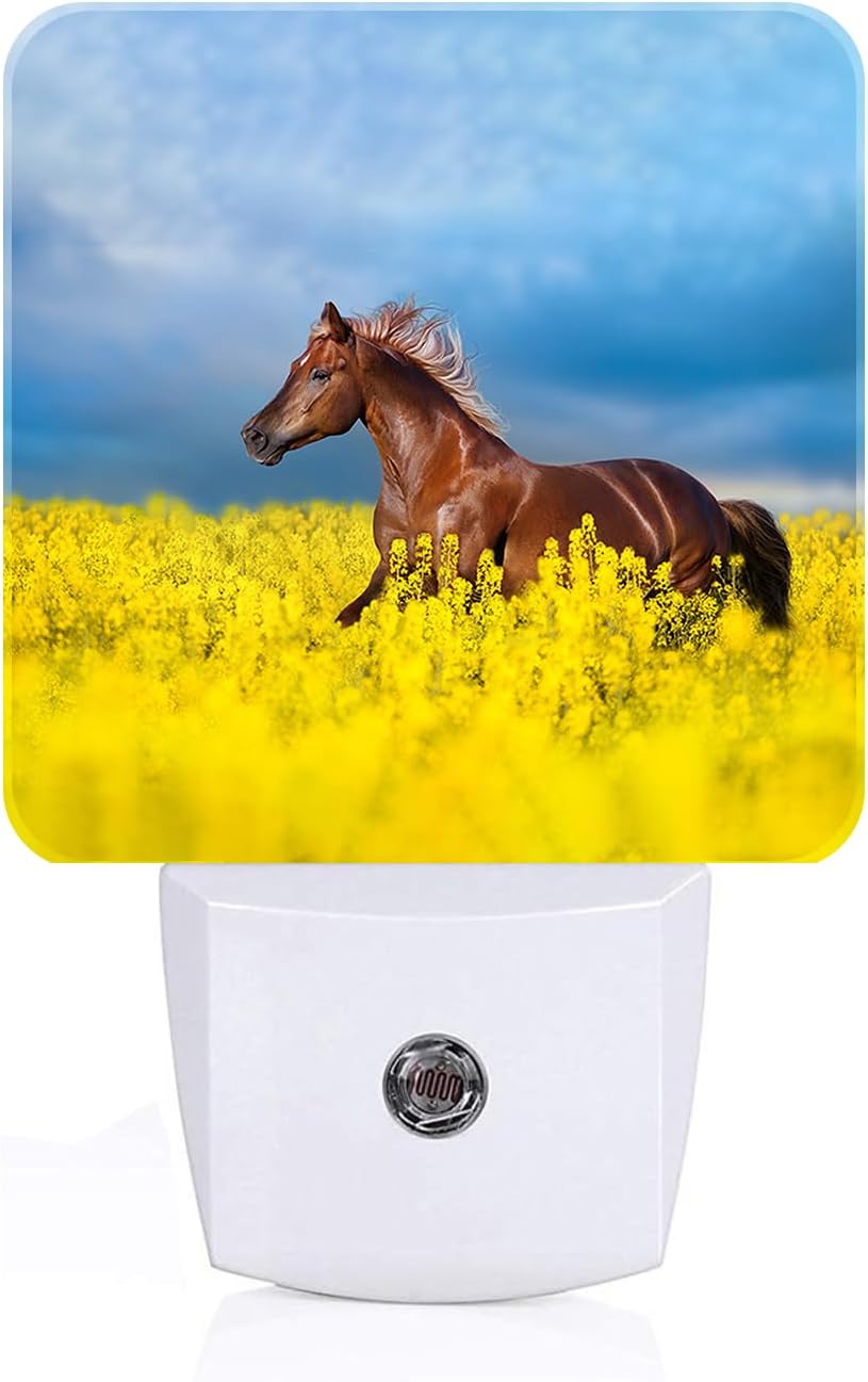 Bay Horse On Rape Field Night Light,Plug-in Night Lights with Dusk to Dawn Sensor for Stairway,Hallway,Bedroom Sleep Friendly Ideal for Women/Girls/Boys Gift,0.5w