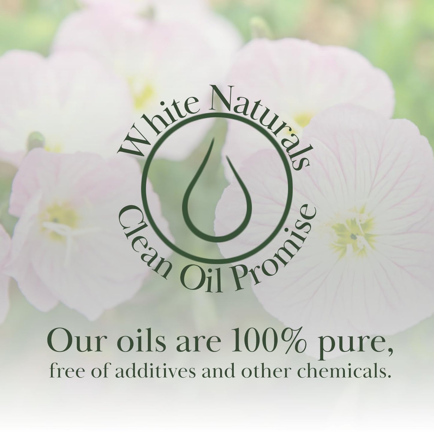 White Naturals Evening Primrose Carrier Oil – 100% Pure & Cold-Pressed, Lightweight & Nourishing Oil for Skin Care, Hair Care & DIY Beauty, 4oz