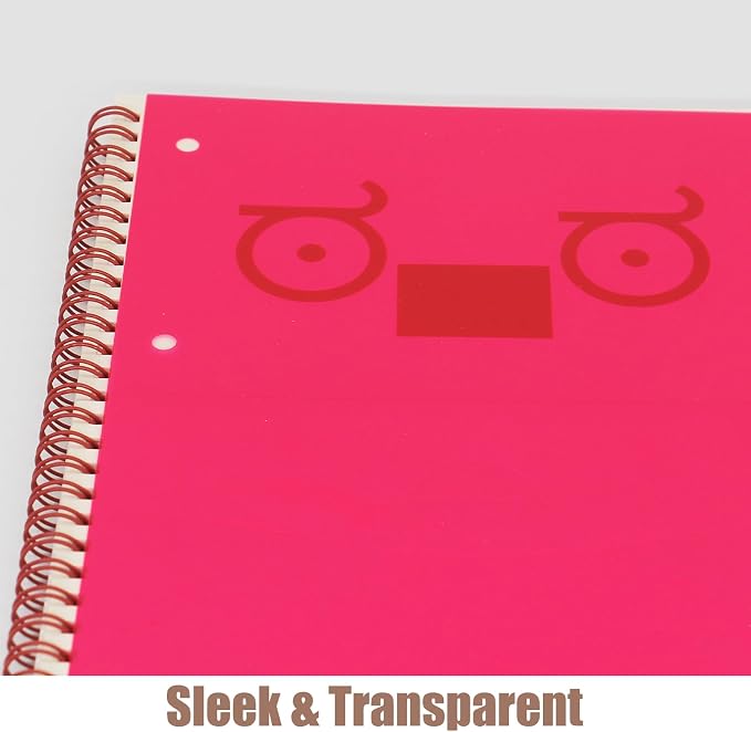 10-Pack A4 Colored PVC Flexible Plastic Sheets, 0.3mm Rose Transparent Film
