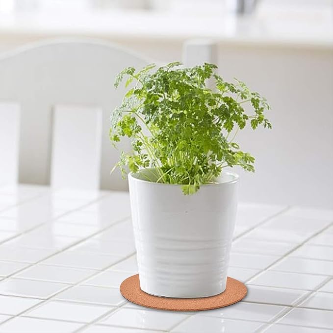 6-Pack 6" Cork Coasters, Round Cork & Plastic Plant Saucers