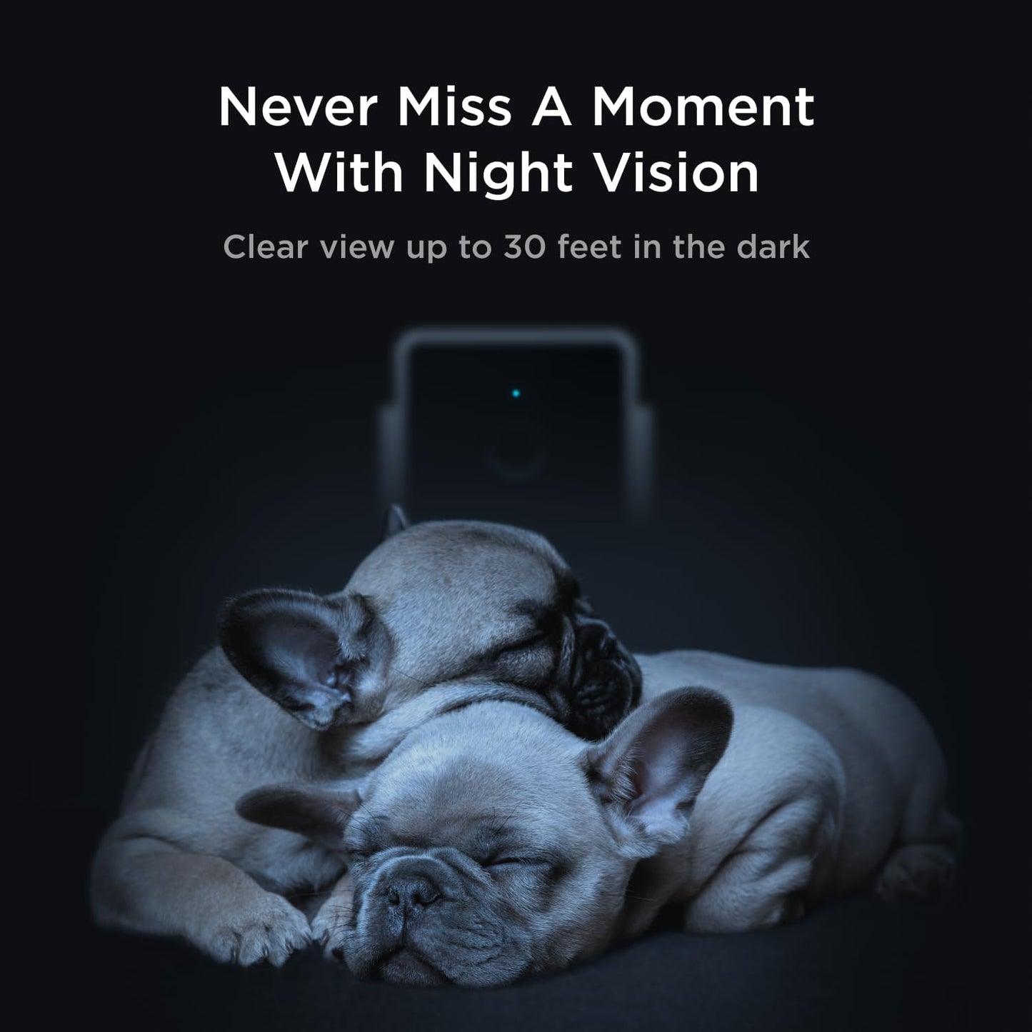 Petcube Cam The Pack of 2 | Indoor Wi-Fi Pet Security Camera with Phone App, 2-Way Audio and Video, Night Vision, 1080p HD Video and Smart Alerts