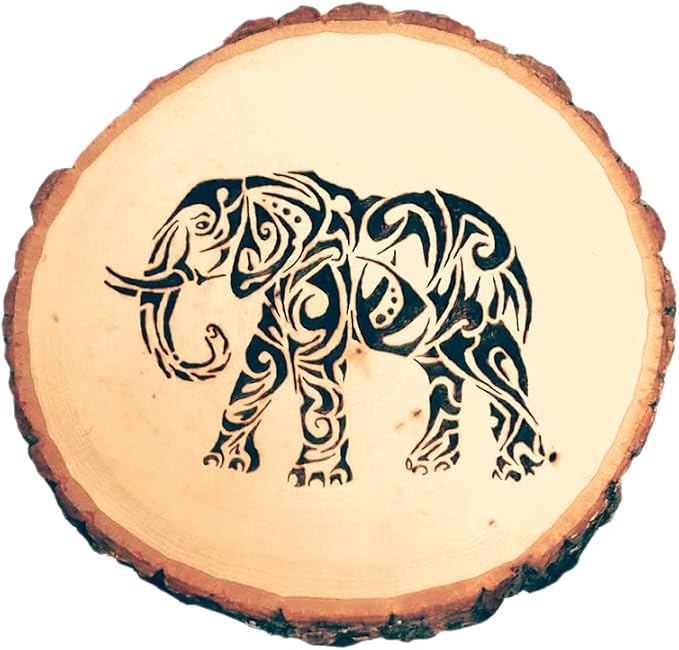 Wilson 4 Pack Basswood Round Rustic Wood Slice, Sanded Side, 9-12" Diameter
