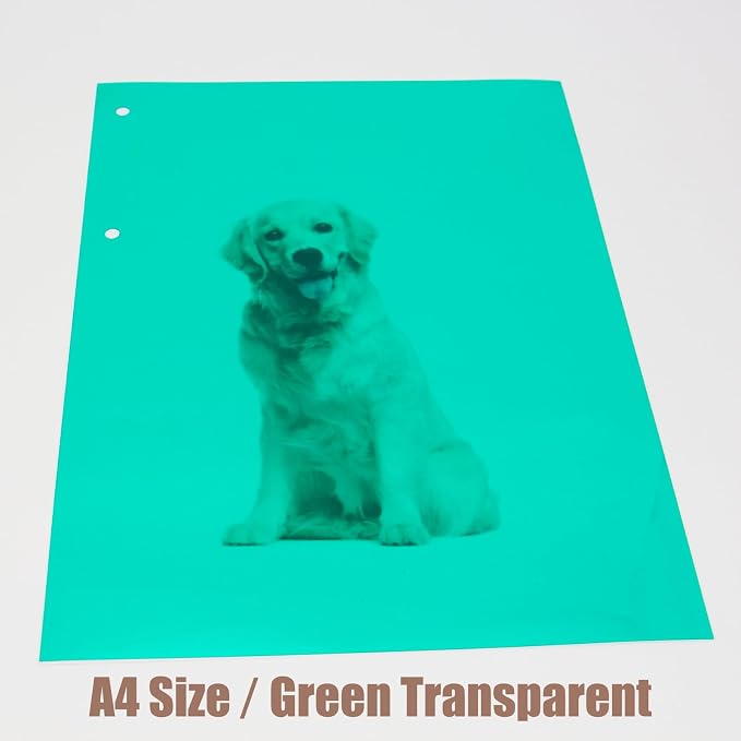 10-Pack A4 Colored PVC Flexible Plastic Sheets, 0.3mm Dark Green Transparent