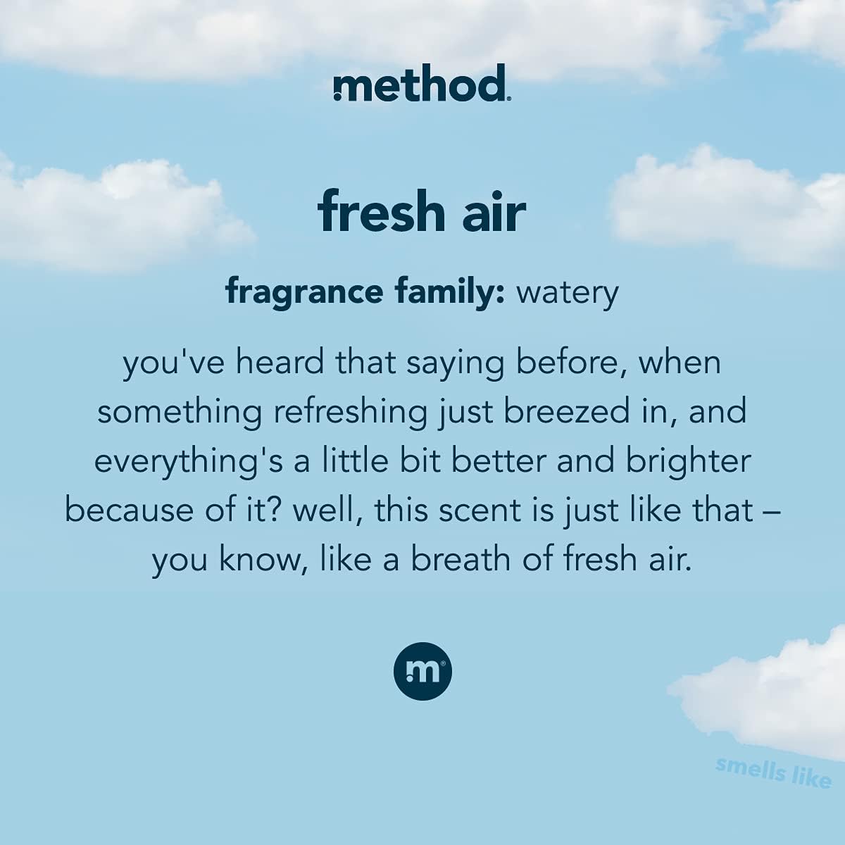 Method Liquid Laundry Detergent, Fresh Air, 66 Loads Per Bottle, Stain Remover, 53.5 Fl Oz (Pack of 4)