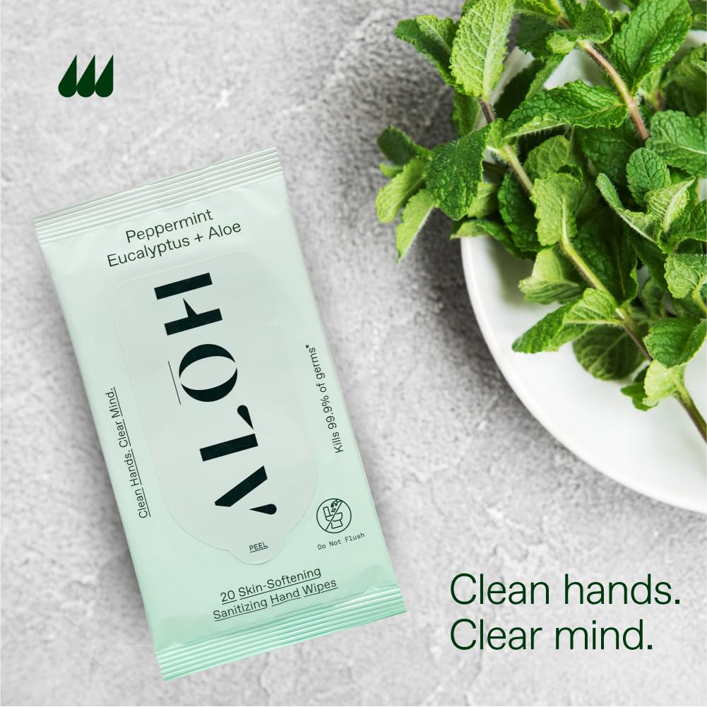 ALŌH Peppermint Eucalyptus Sanitizing Hand Wipes - Clean Hands, Clear Mind On The Go Sanitizer for Kids and Adults - Travel Size 6 packs of 20ct Wipe (120 Wipes)