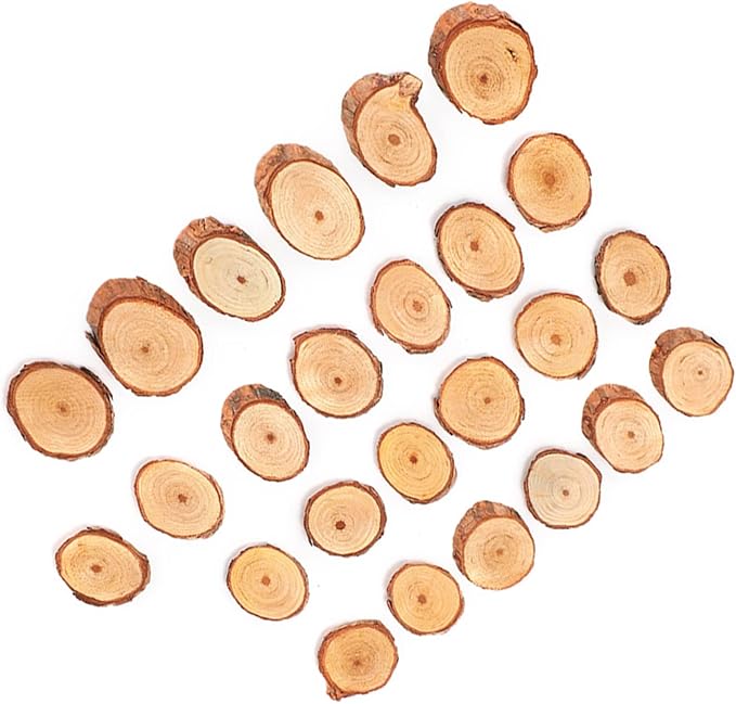 Rustic Unfinished Wooden Ornament Craft Kit 25 Piece DIY Blank Set