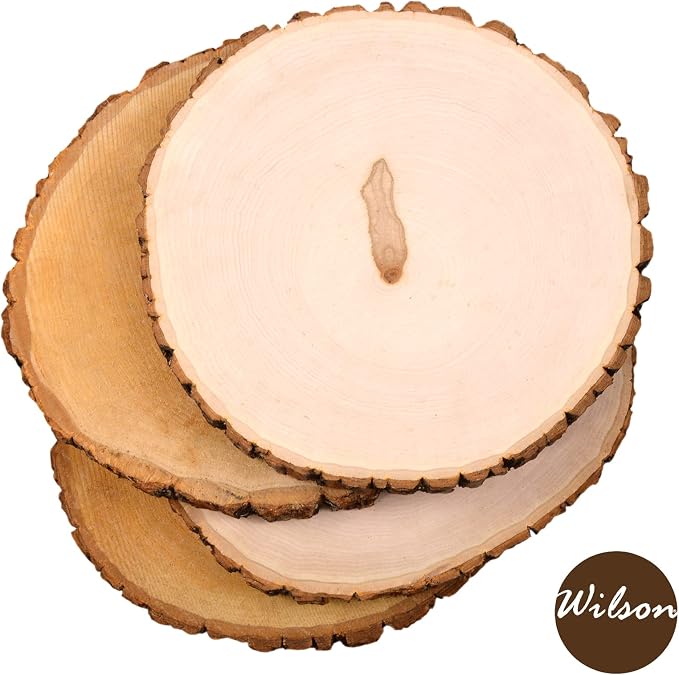 Wilson 8 Pack Basswood Round Rustic Wood Slice, Sanded Side, 9-12" Diameter