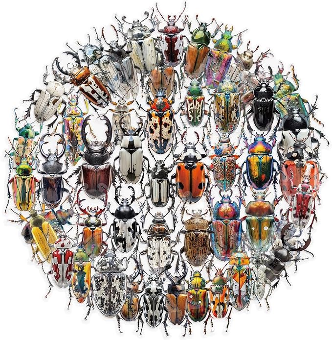 50 PCS Realistic Beetle Stickers