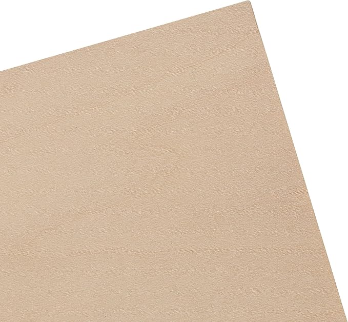 LEXININ 20 PCS 4 x 4 x 1 Inch Square Wood Carving Blocks, Unfinished Basswood