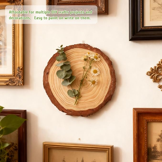 FSWCCK 10 Pack Nature Unfinished Round Wood Slices, 7-7.8 Inches Wooden Circle