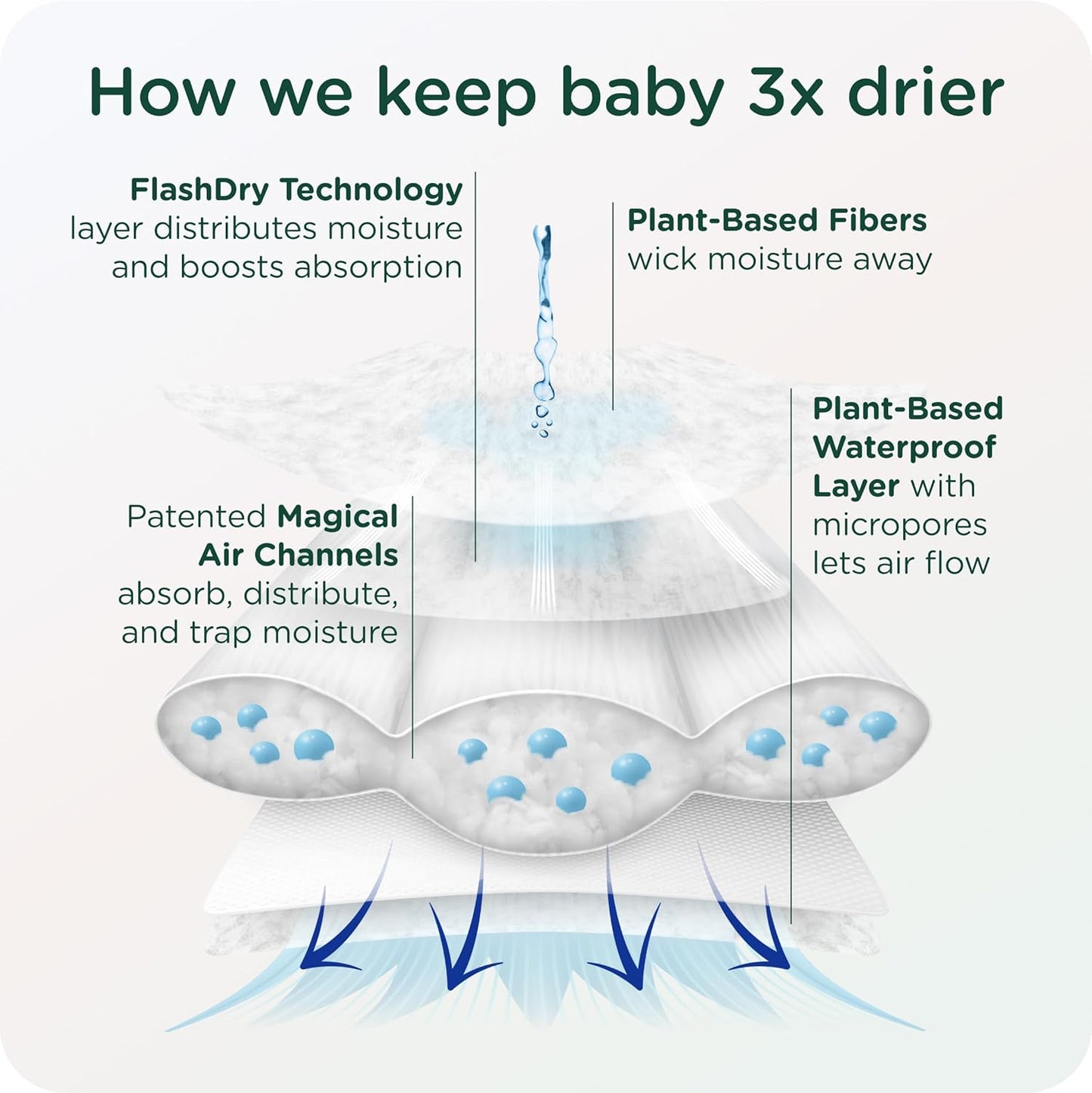 Our Diapers | EWG Verified Safe & Plant-Based Diapers | Leak Protection | Soft Organic Cotton Shell | Chlorine-Free Diaper for Sensitive Skin | Size 4 (22-32 lbs) 36 Count