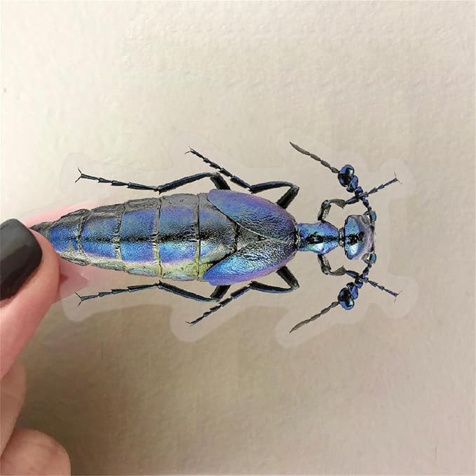 Bug Decals, Realistic Transparent Insect PET Sticker, Waterproof Bug Stickers
