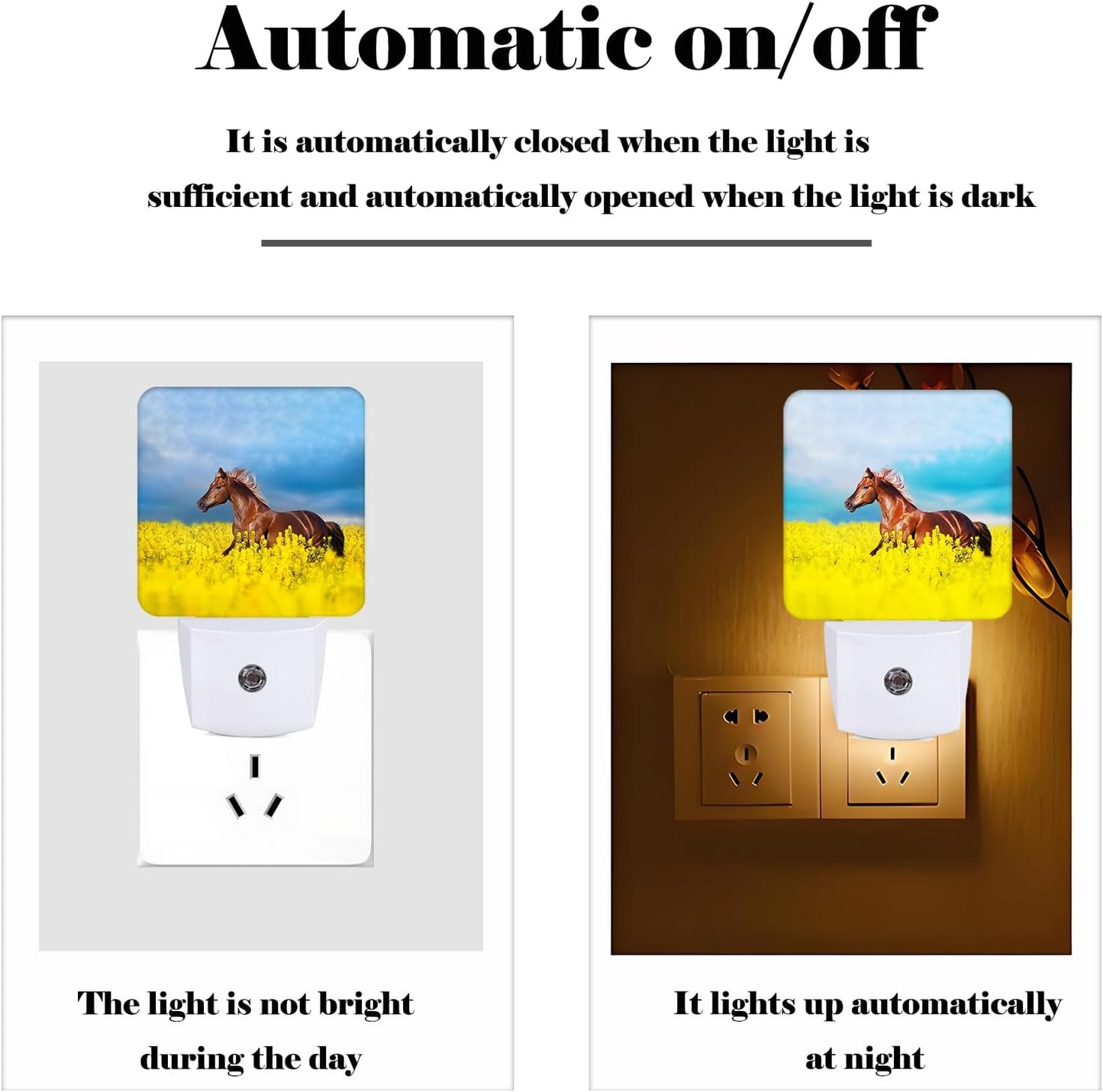 Bay Horse On Rape Field Night Light,Plug-in Night Lights with Dusk to Dawn Sensor for Stairway,Hallway,Bedroom Sleep Friendly Ideal for Women/Girls/Boys Gift,0.5w