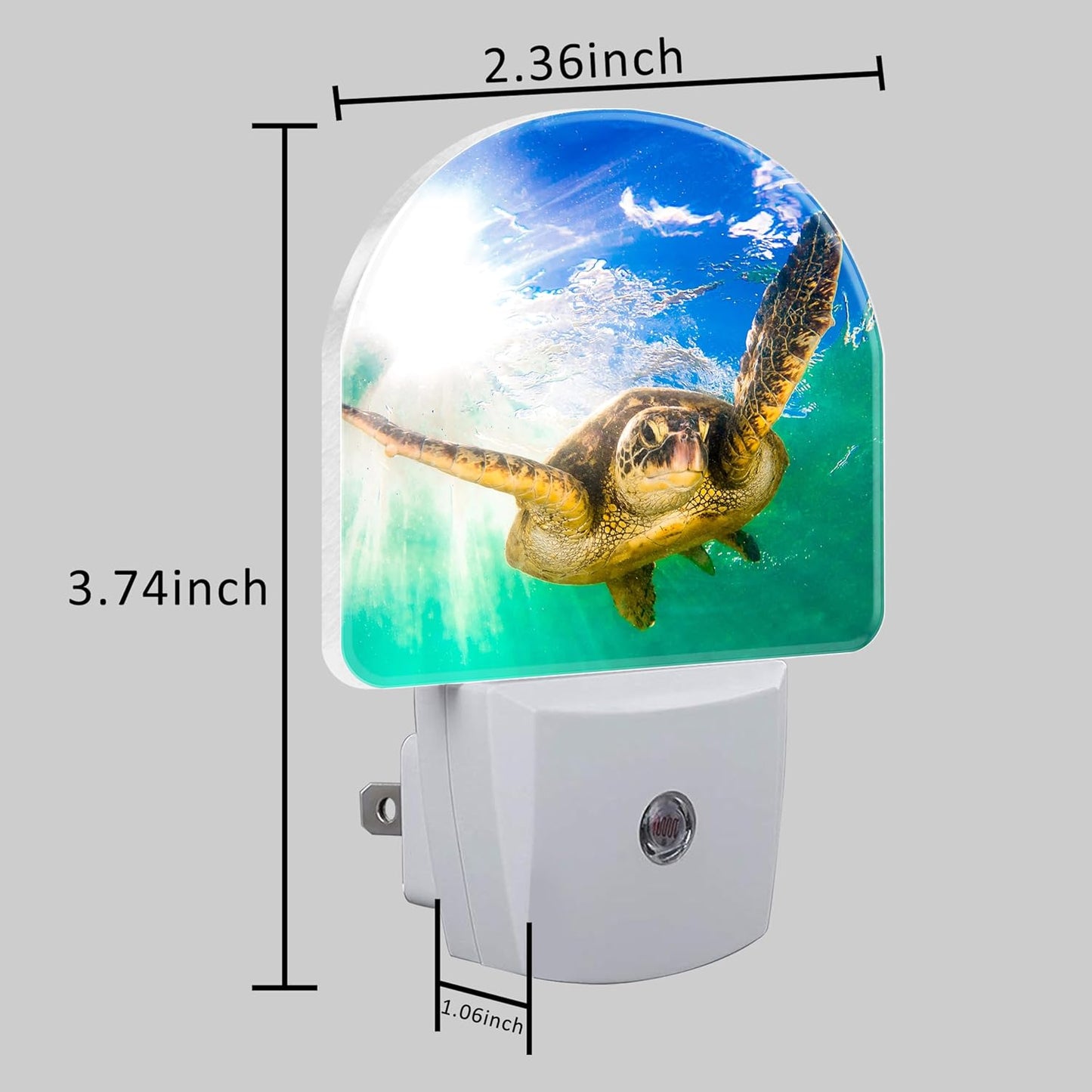 Night Light Plug into Wall Cute Sea Turtle Night Light with Dusk to Dawn Sensor for Kid Girls Boys Women Men Room Decor, Hallway, Kitchen, Bathroom, Nursery, Stairs