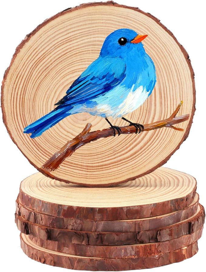 FSWCCK 6 PCS Unfinished Wood Slices