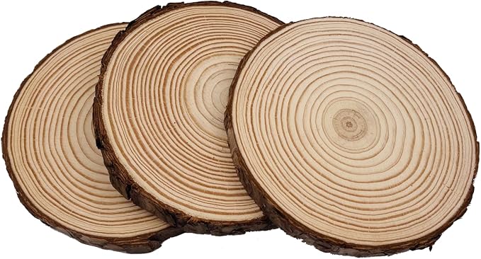 Unfinished Natural with Tree Bark Wood Slices 9 Pcs 5.1-5.5inch Disc Coasters